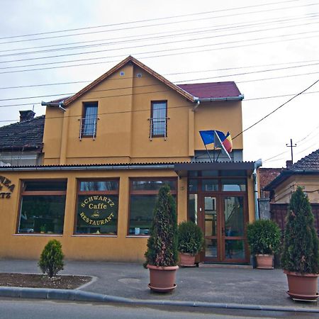 Pensiunea Schwartz Cluj-Napoca Ngoại thất bức ảnh