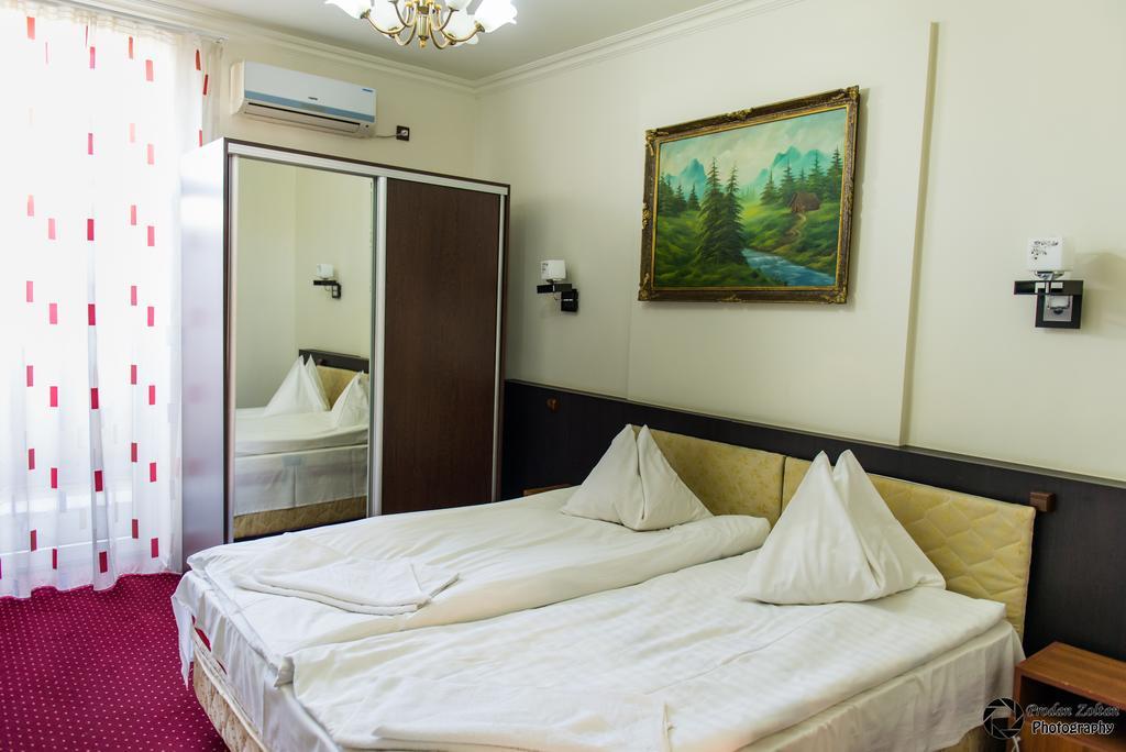 Pensiunea Schwartz Cluj-Napoca Ngoại thất bức ảnh