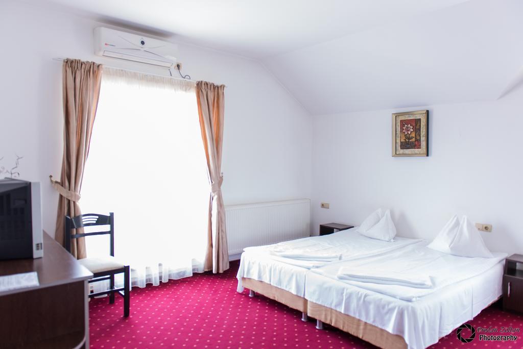 Pensiunea Schwartz Cluj-Napoca Ngoại thất bức ảnh