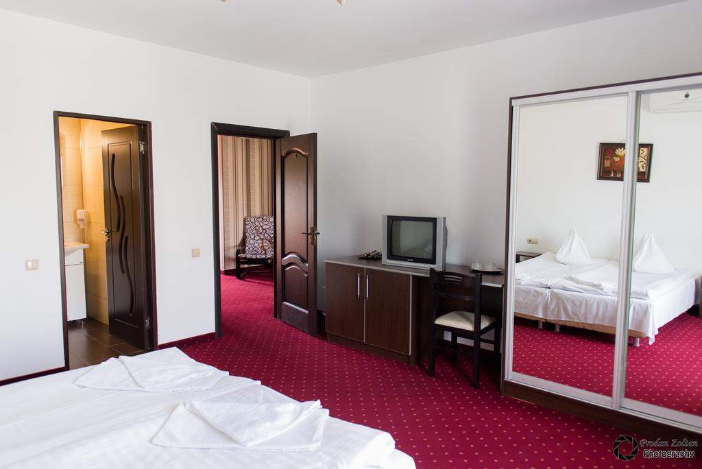 Pensiunea Schwartz Cluj-Napoca Ngoại thất bức ảnh