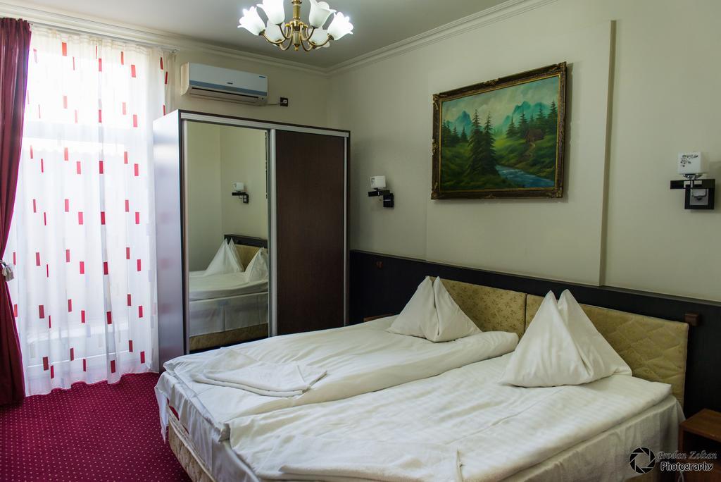 Pensiunea Schwartz Cluj-Napoca Ngoại thất bức ảnh