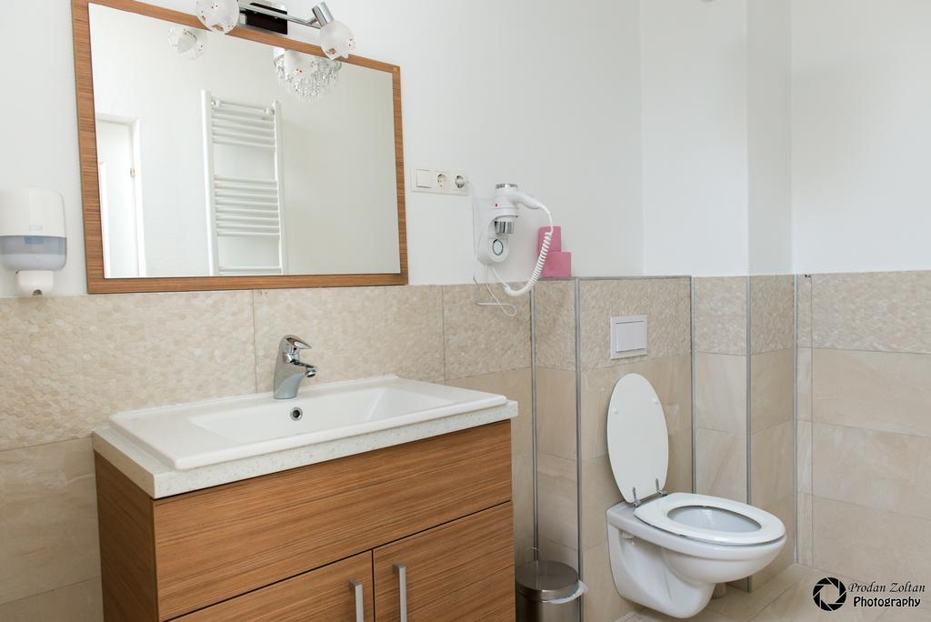 Pensiunea Schwartz Cluj-Napoca Ngoại thất bức ảnh