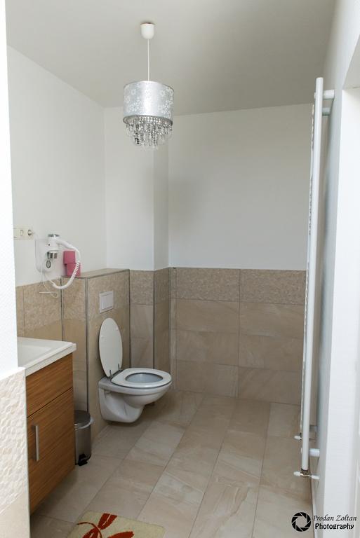 Pensiunea Schwartz Cluj-Napoca Ngoại thất bức ảnh
