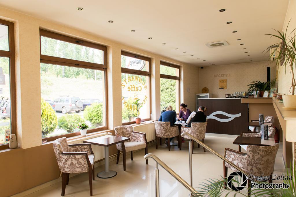 Pensiunea Schwartz Cluj-Napoca Ngoại thất bức ảnh