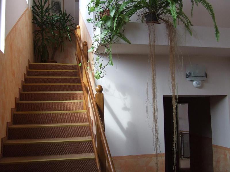 Pensiunea Schwartz Cluj-Napoca Ngoại thất bức ảnh