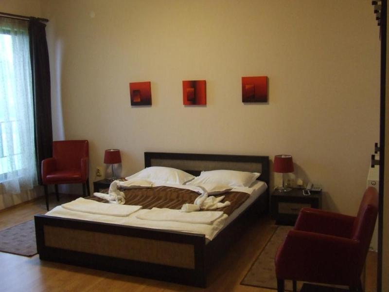 Pensiunea Schwartz Cluj-Napoca Ngoại thất bức ảnh