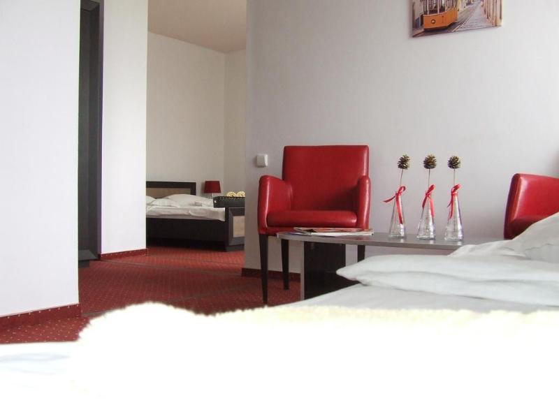 Pensiunea Schwartz Cluj-Napoca Ngoại thất bức ảnh